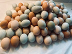 Farm Fresh Eggs