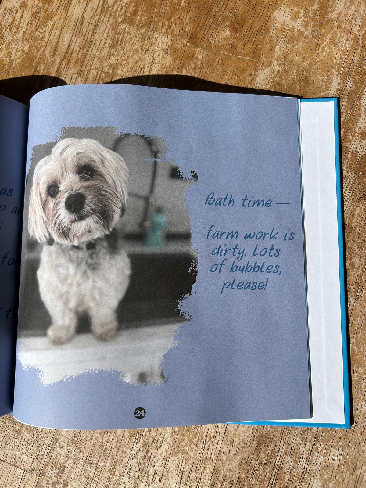 Buster Book