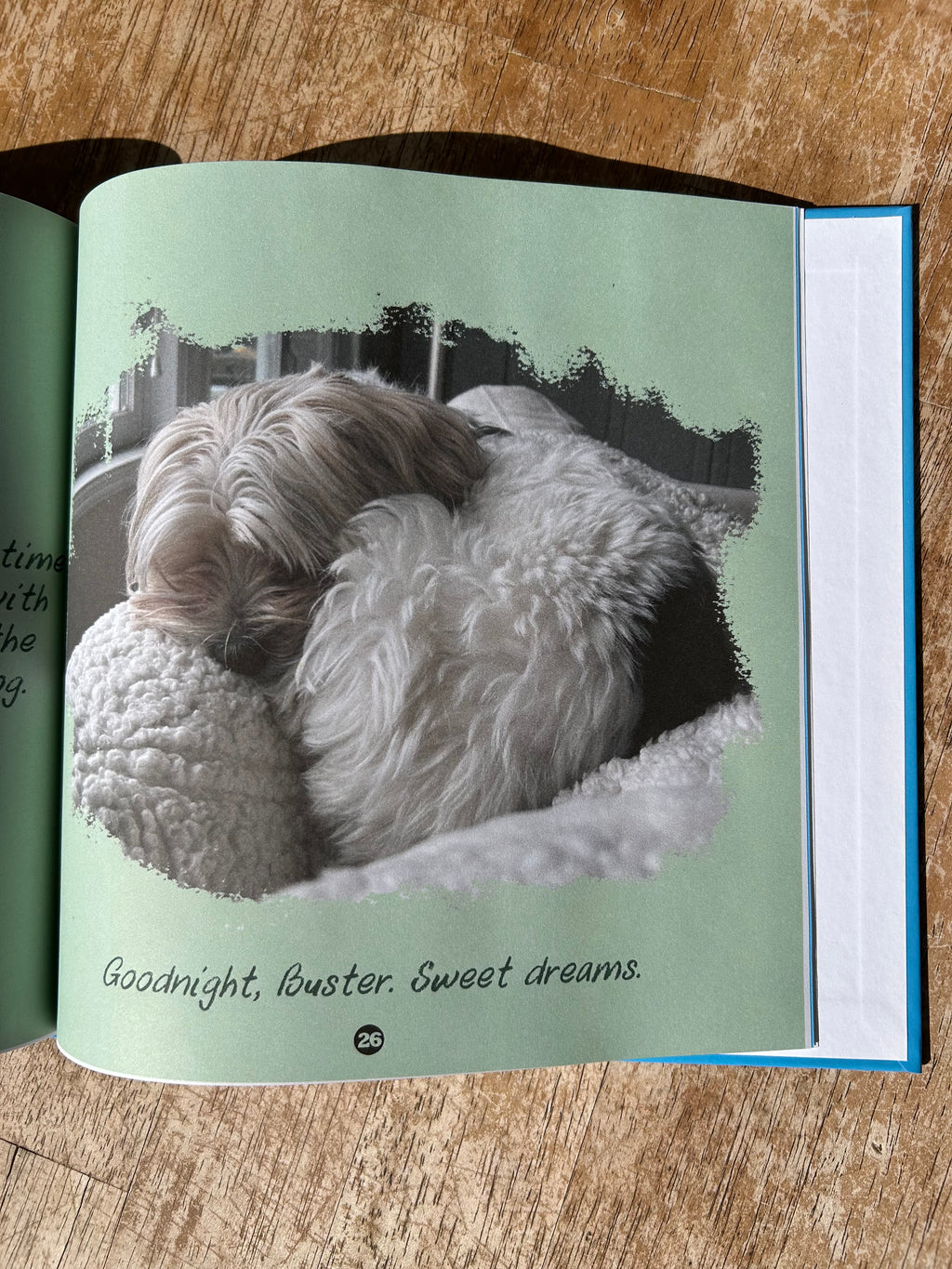 Buster Book
