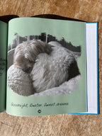 Buster Book