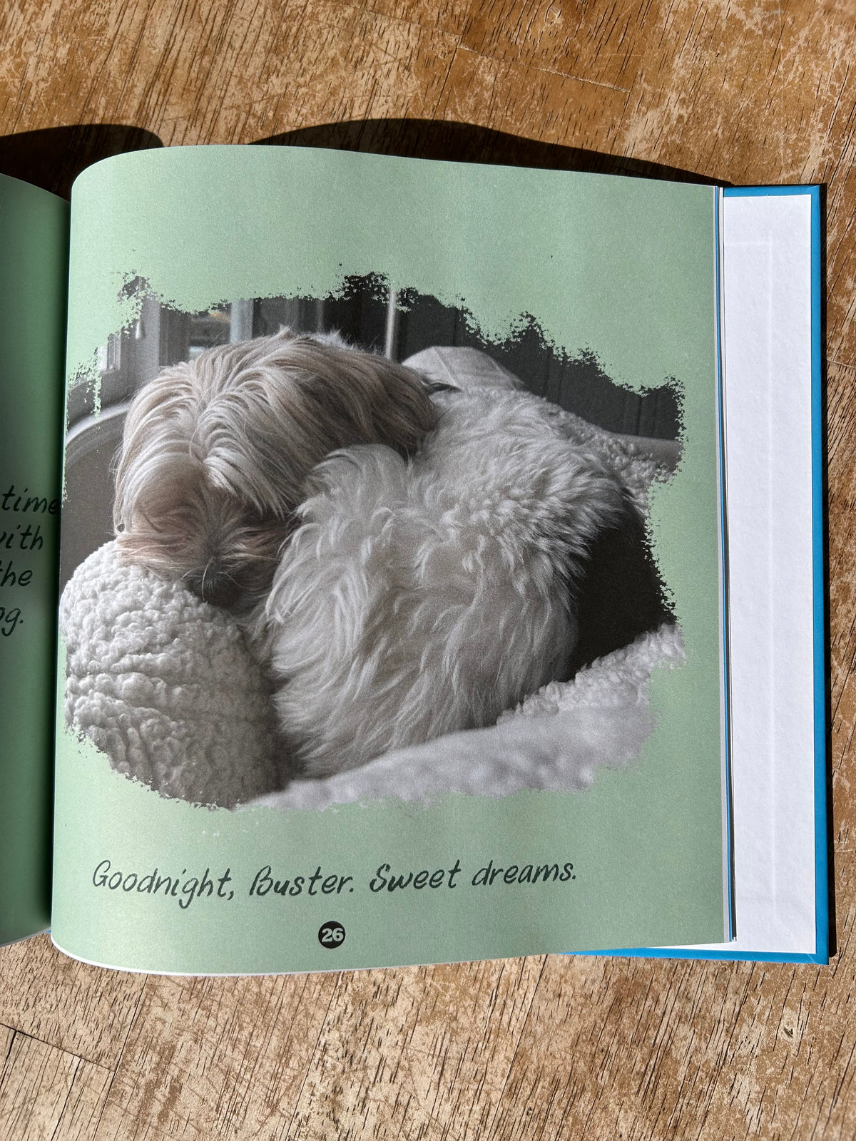 Buster Book