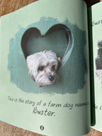 Buster Book