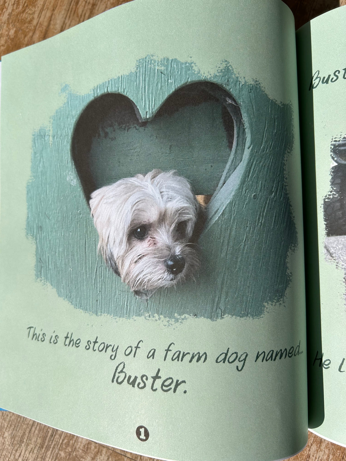 Buster Book